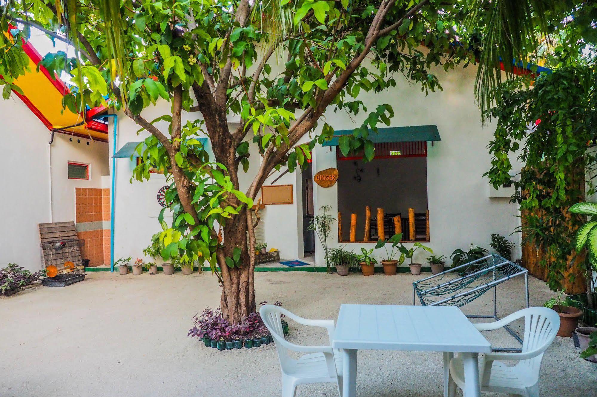 Dream Sun Maldives Тулусду