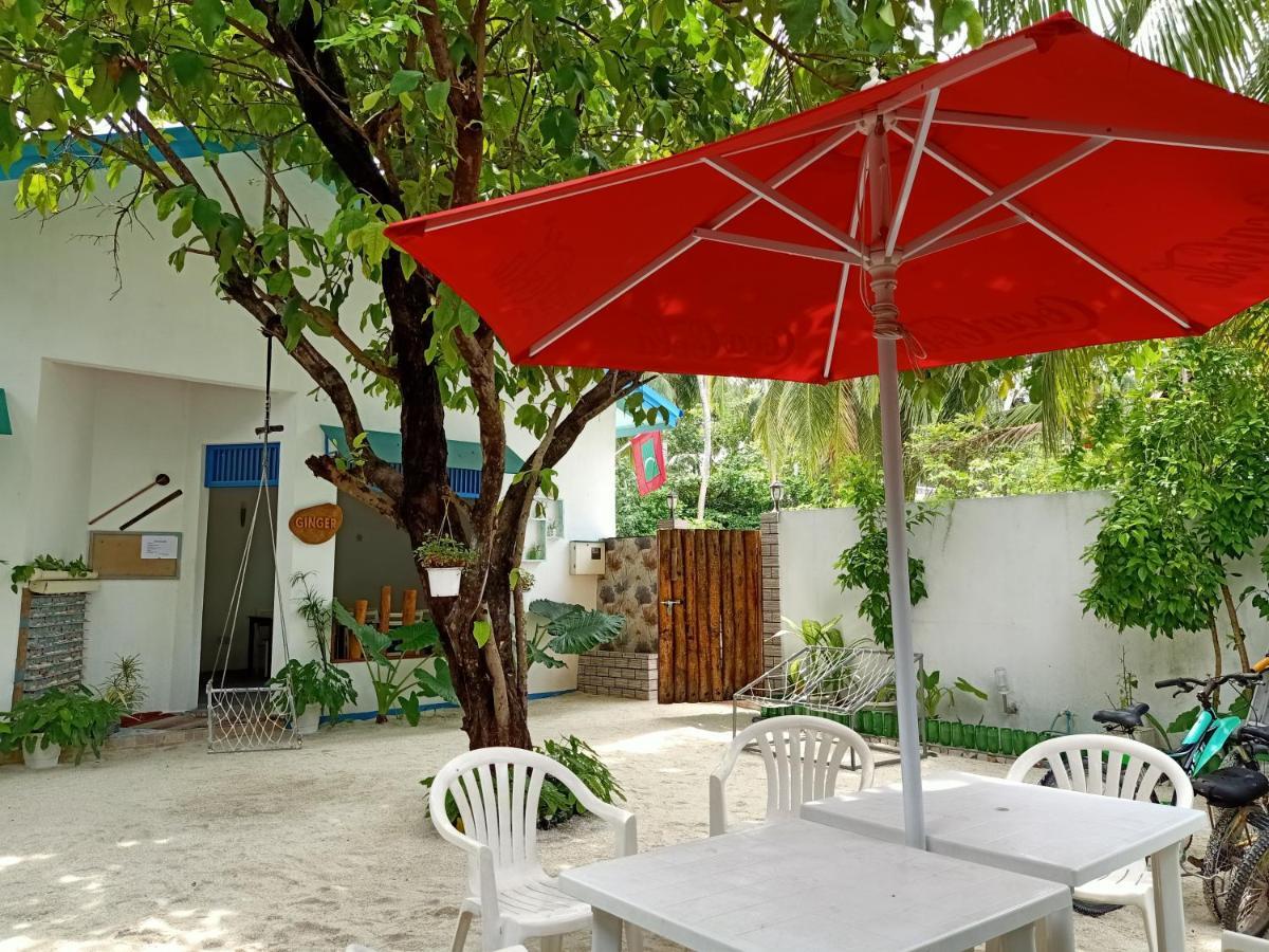 Maison d'hôtes Dream Sun Maldives 3*